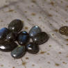 Labradorite