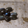 Labradorite