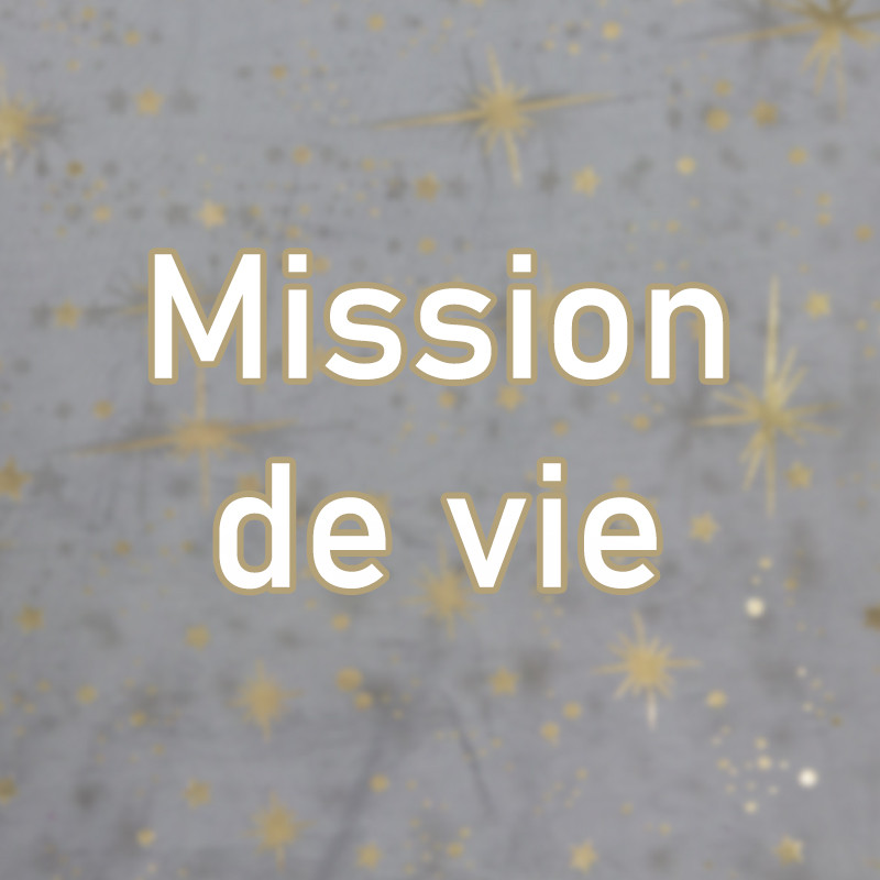 Mission de vie