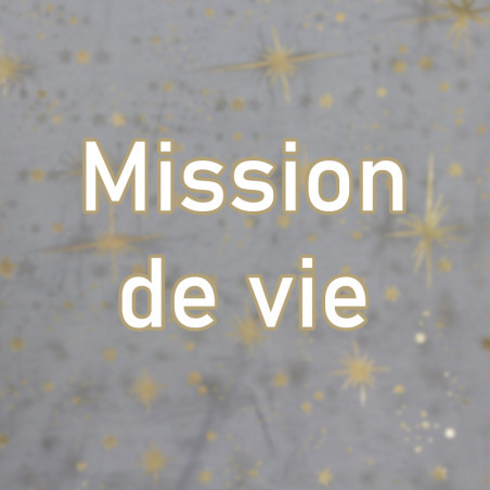 Mission de vie