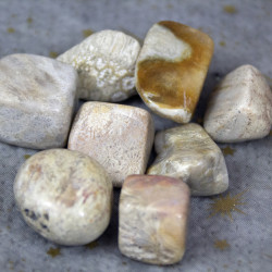 Jade Chrysanthème