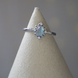 Bague Princesse Aigue...