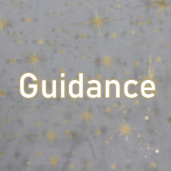 Guidance